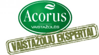 &quot;Acorus Calamus&quot;